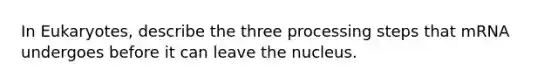 In Eukaryotes, describe the three processing steps that mRNA undergoes before it can leave the nucleus.