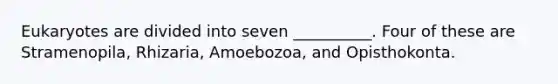 Eukaryotes are divided into seven __________. Four of these are Stramenopila, Rhizaria, Amoebozoa, and Opisthokonta.