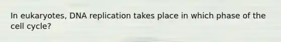 In eukaryotes, DNA replication takes place in which phase of the cell cycle?