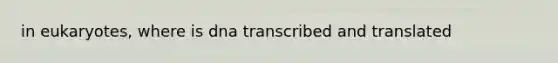 in eukaryotes, where is dna transcribed and translated