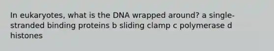 In eukaryotes, what is the DNA wrapped around? a single-stranded binding proteins b sliding clamp c polymerase d histones