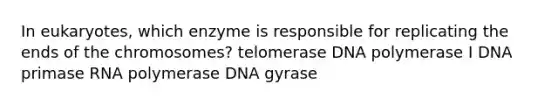 In eukaryotes, which enzyme is responsible for replicating the ends of the chromosomes? telomerase DNA polymerase I DNA primase RNA polymerase DNA gyrase