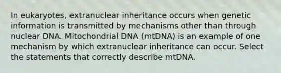 In eukaryotes, extranuclear inheritance occurs when genetic information is transmitted by mechanisms other than through nuclear DNA. Mitochondrial DNA (mtDNA) is an example of one mechanism by which extranuclear inheritance can occur. Select the statements that correctly describe mtDNA.