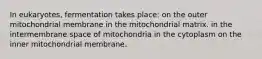 In eukaryotes, fermentation takes place: on the outer mitochondrial membrane in the mitochondrial matrix. in the intermembrane space of mitochondria in the cytoplasm on the inner mitochondrial membrane.