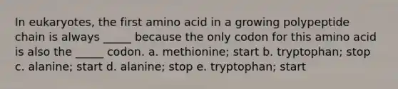 In eukaryotes, the first amino acid in a growing polypeptide chain is always _____ because the only codon for this amino acid is also the _____ codon. a. methionine; start b. tryptophan; stop c. alanine; start d. alanine; stop e. tryptophan; start