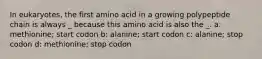 In eukaryotes, the first amino acid in a growing polypeptide chain is always _ because this amino acid is also the _. a: methionine; start codon b: alanine; start codon c: alanine; stop codon d: methionine; stop codon