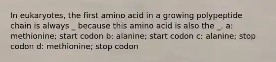 In eukaryotes, the first amino acid in a growing polypeptide chain is always _ because this amino acid is also the _. a: methionine; start codon b: alanine; start codon c: alanine; stop codon d: methionine; stop codon