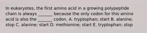 In eukaryotes, the first amino acid in a growing polypeptide chain is always _______ because the only codon for this amino acid is also the _______ codon. A. tryptophan; start B. alanine; stop C. alanine; start D. methionine; start E. tryptophan; stop