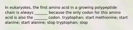 In eukaryotes, the first amino acid in a growing polypeptide chain is always _______ because the only codon for this amino acid is also the _______ codon. tryptophan; start methionine; start alanine; start alanine; stop tryptophan; stop