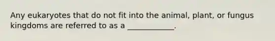 Any eukaryotes that do not fit into the animal, plant, or fungus kingdoms are referred to as a ____________.