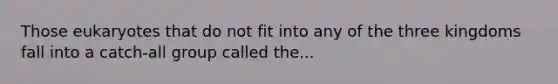 Those eukaryotes that do not fit into any of the three kingdoms fall into a catch-all group called the...