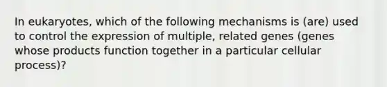 In eukaryotes, which of the following mechanisms is (are) used to control the expression of multiple, related genes (genes whose products function together in a particular cellular process)?