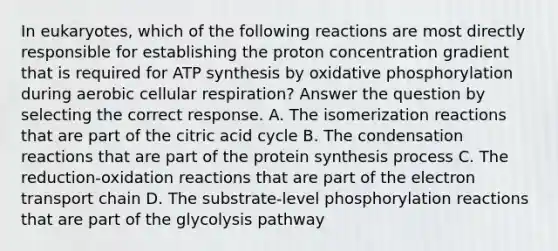 In eukaryotes, which of the following reactions are most directly responsible for establishing the proton concentration gradient that is required for ATP synthesis by oxidative phosphorylation during aerobic cellular respiration? Answer the question by selecting the correct response. A. The isomerization reactions that are part of the citric acid cycle B. The condensation reactions that are part of the protein synthesis process C. The reduction-oxidation reactions that are part of the electron transport chain D. The substrate-level phosphorylation reactions that are part of the glycolysis pathway