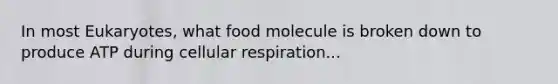 In most Eukaryotes, what food molecule is broken down to produce ATP during cellular respiration...