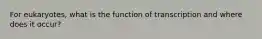 For eukaryotes, what is the function of transcription and where does it occur?