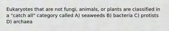 Eukaryotes that are not fungi, animals, or plants are classified in a "catch all" category called A) seaweeds B) bacteria C) protists D) archaea