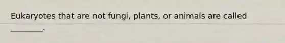 Eukaryotes that are not fungi, plants, or animals are called ________.