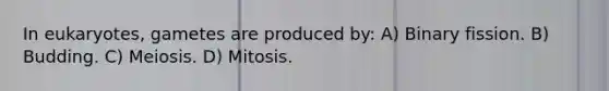 In eukaryotes, gametes are produced by: A) Binary fission. B) Budding. C) Meiosis. D) Mitosis.