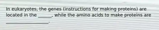 In eukaryotes, the genes (instructions for making proteins) are located in the ______, while the amino acids to make proteins are ___________________.