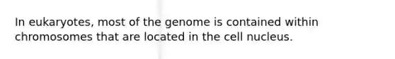 In eukaryotes, most of the genome is contained within chromosomes that are located in the cell nucleus.