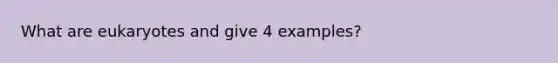 What are eukaryotes and give 4 examples?