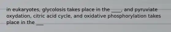 in eukaryotes, glycolosis takes place in the ____, and pyruviate oxydation, citric acid cycle, and <a href='https://www.questionai.com/knowledge/kFazUb9IwO-oxidative-phosphorylation' class='anchor-knowledge'>oxidative phosphorylation</a> takes place in the ___