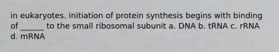 in eukaryotes. initiation of protein synthesis begins with binding of ______ to the small ribosomal subunit a. DNA b. tRNA c. rRNA d. mRNA