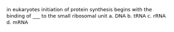 in eukaryotes initiation of protein synthesis begins with the binding of ___ to the small ribosomal unit a. DNA b. tRNA c. rRNA d. mRNA