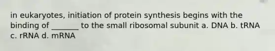 in eukaryotes, initiation of protein synthesis begins with the binding of _______ to the small ribosomal subunit a. DNA b. tRNA c. rRNA d. mRNA