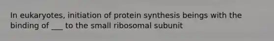 In eukaryotes, initiation of protein synthesis beings with the binding of ___ to the small ribosomal subunit