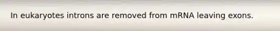 In eukaryotes introns are removed from mRNA leaving exons.