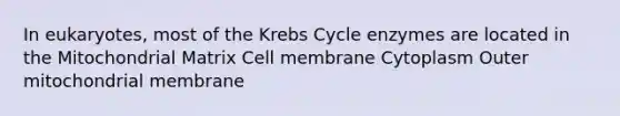 In eukaryotes, most of the Krebs Cycle enzymes are located in the Mitochondrial Matrix Cell membrane Cytoplasm Outer mitochondrial membrane