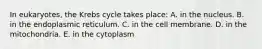 In eukaryotes, the Krebs cycle takes place: A. in the nucleus. B. in the endoplasmic reticulum. C. in the cell membrane. D. in the mitochondria. E. in the cytoplasm