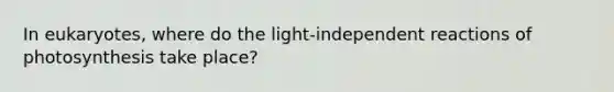 In eukaryotes, where do the light-independent reactions of photosynthesis take place?