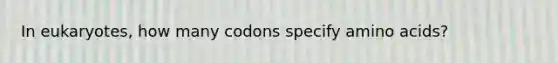 In eukaryotes, how many codons specify amino acids?