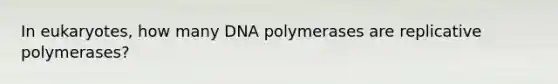 In eukaryotes, how many DNA polymerases are replicative polymerases?