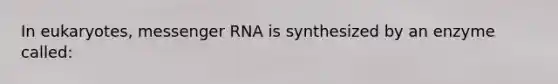 In eukaryotes, messenger RNA is synthesized by an enzyme called: