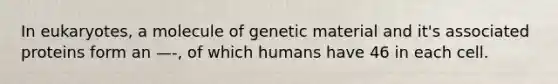 In eukaryotes, a molecule of genetic material and it's associated proteins form an —-, of which humans have 46 in each cell.