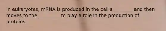 In eukaryotes, mRNA is produced in the cell's ________ and then moves to the _________ to play a role in the production of proteins.