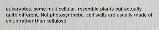 eukaryotes. some multicellular, resemble plants but actually quite different. Not photosynthetic, cell walls are usually made of chitin rather than cellulose