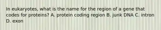 In eukaryotes, what is the name for the region of a gene that codes for proteins? A. protein coding region B. junk DNA C. intron D. exon