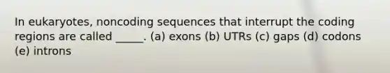 In eukaryotes, noncoding sequences that interrupt the coding regions are called _____. (a) exons (b) UTRs (c) gaps (d) codons (e) introns