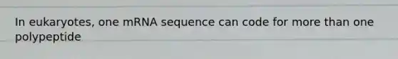 In eukaryotes, one mRNA sequence can code for more than one polypeptide