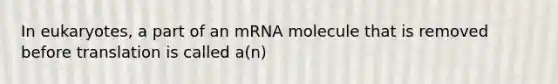 In eukaryotes, a part of an mRNA molecule that is removed before translation is called a(n)