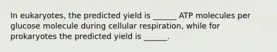 In eukaryotes, the predicted yield is ______ ATP molecules per glucose molecule during cellular respiration, while for prokaryotes the predicted yield is ______.