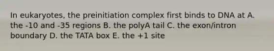 In eukaryotes, the preinitiation complex first binds to DNA at A. the -10 and -35 regions B. the polyA tail C. the exon/intron boundary D. the TATA box E. the +1 site