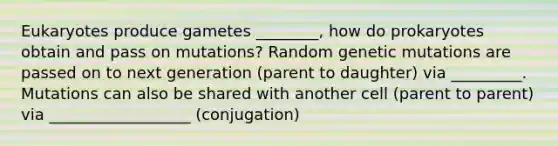 Eukaryotes produce gametes ________, how do prokaryotes obtain and pass on mutations? Random genetic mutations are passed on to next generation (parent to daughter) via _________. Mutations can also be shared with another cell (parent to parent) via __________________ (conjugation)