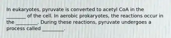 In eukaryotes, pyruvate is converted to acetyl CoA in the ________ of the cell. In aerobic prokaryotes, the reactions occur in the _________. During these reactions, pyruvate undergoes a process called _________.