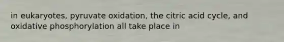 in eukaryotes, pyruvate oxidation, the citric acid cycle, and oxidative phosphorylation all take place in