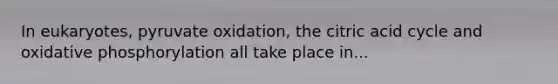 In eukaryotes, pyruvate oxidation, the citric acid cycle and <a href='https://www.questionai.com/knowledge/kFazUb9IwO-oxidative-phosphorylation' class='anchor-knowledge'>oxidative phosphorylation</a> all take place in...